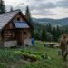 Cheapest Way to Start off-grid living